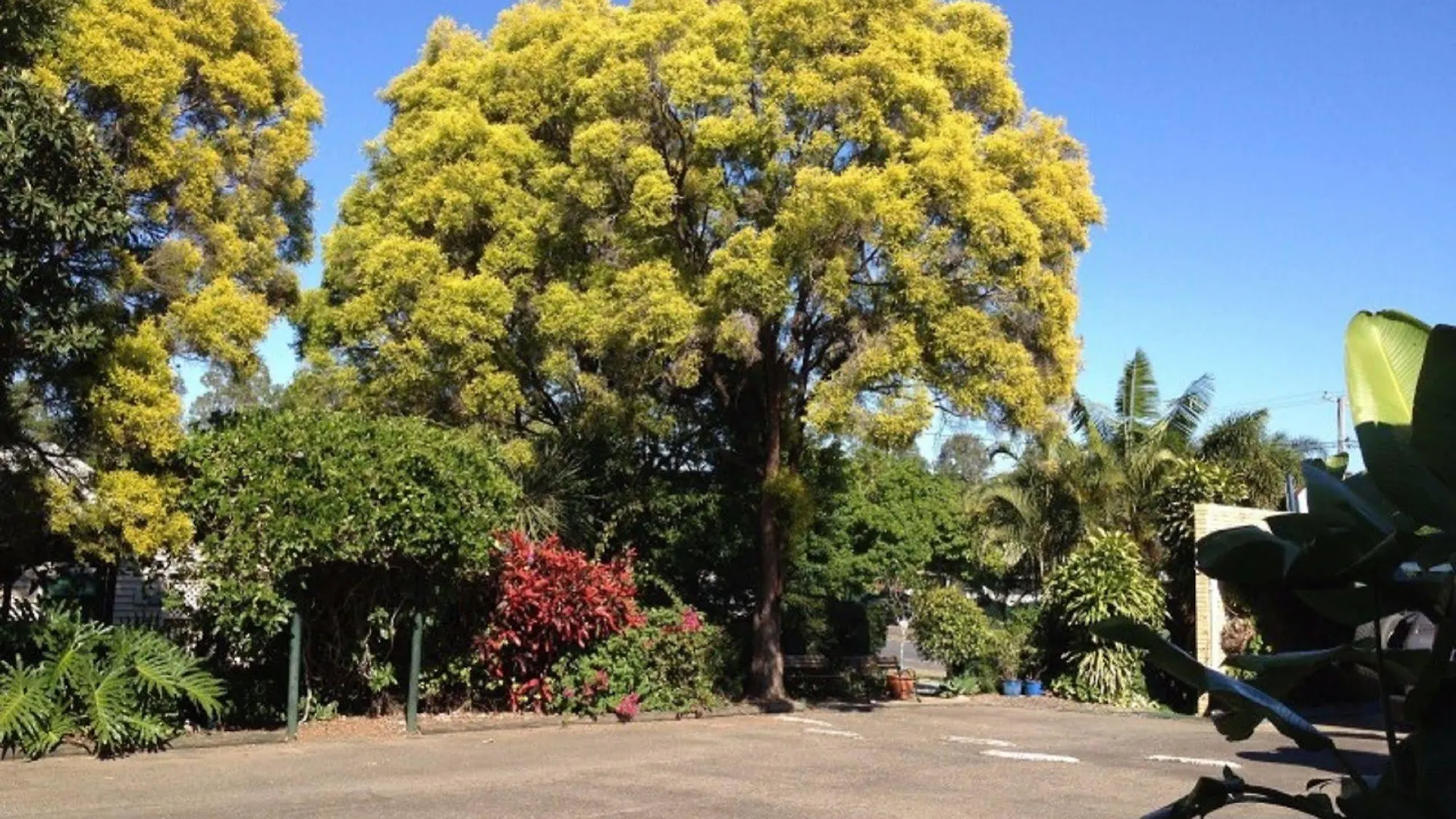 Ipswich City Motel
